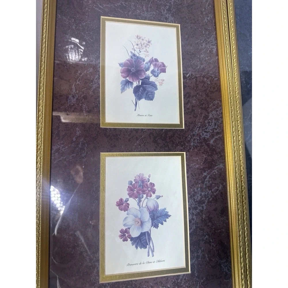 Vintage botanical Art French Gold Frames‎